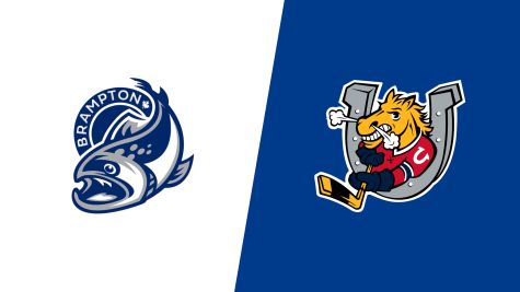 2026 Brampton Steelheads vs Barrie Colts