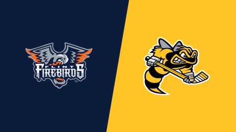 2026 Flint Firebirds vs Sarnia Sting