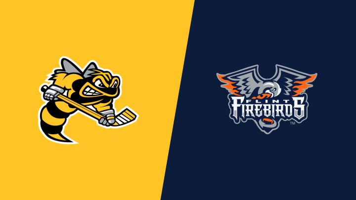 2026 Sarnia Sting vs Flint Firebirds