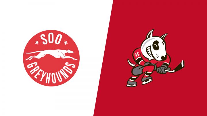 2026 Soo Greyhounds vs Niagara IceDogs