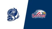 2026 Brampton Steelheads vs Saginaw Spirit