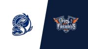 2026 Brampton Steelheads vs Flint Firebirds