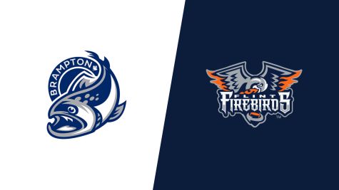 2026 Brampton Steelheads vs Flint Firebirds