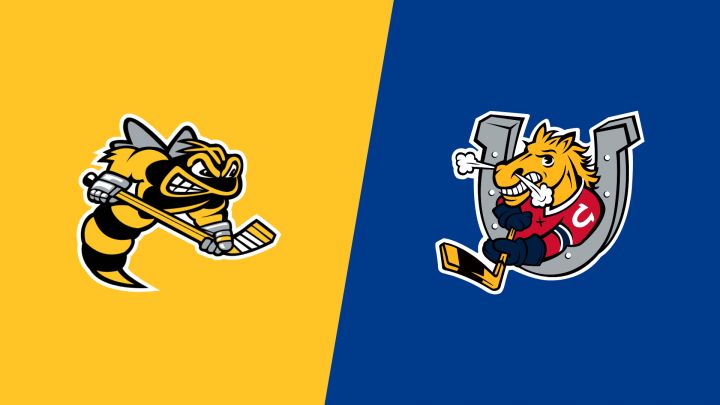 2026 Sarnia Sting vs Barrie Colts