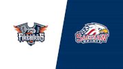 2026 Flint Firebirds vs Saginaw Spirit