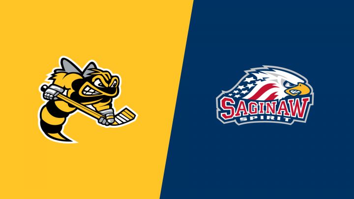 Sarnia vs Saginaw