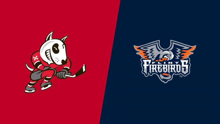 2026 Niagara IceDogs vs Flint Firebirds