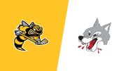 2026 Sarnia Sting vs Sudbury Wolves