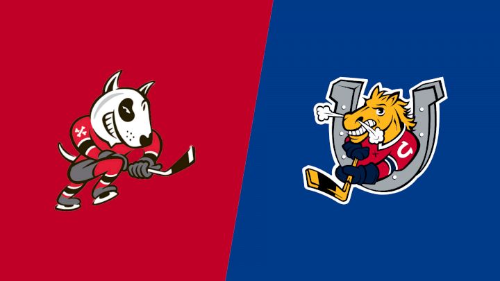 2026 Niagara IceDogs vs Barrie Colts