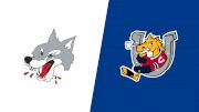 2026 Sudbury Wolves vs Barrie Colts