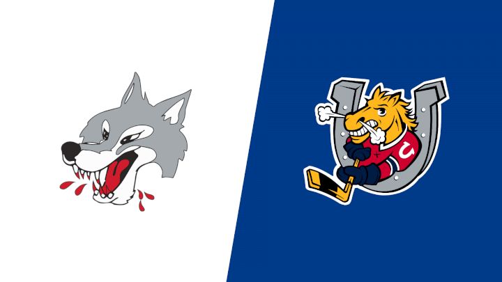 2026 Sudbury Wolves vs Barrie Colts