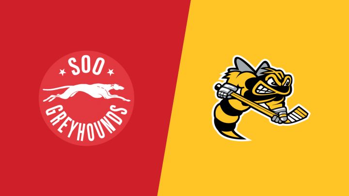 2026 Soo Greyhounds vs Sarnia Sting