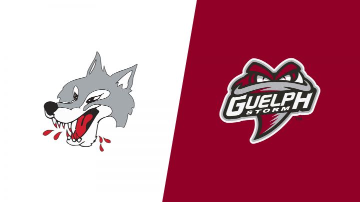 Sudbury vs Guelph