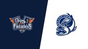 2026 Flint Firebirds vs Brampton Steelheads