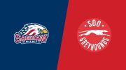 2026 Saginaw Spirit vs Soo Greyhounds