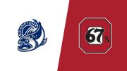 2026 Brampton Steelheads vs Ottawa 67's