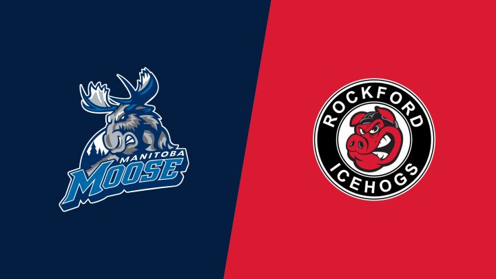 2026 Manitoba Moose vs Rockford IceHogs