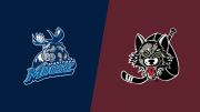 2026 Manitoba Moose vs Chicago Wolves