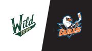 2026 Iowa Wild vs San Diego Gulls