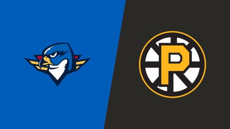 2026 Springfield Thunderbirds vs Providence Bruins