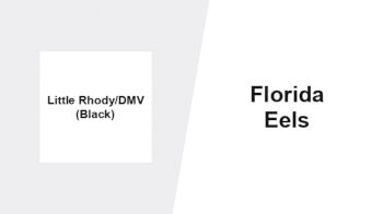 Replay: Home - 2026 Rhody Black vs Eels | Jul 16 @ 3 PM