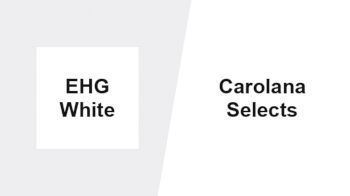 Replay: Home - 2026 EHG White vs Carolina | Jul 17 @ 3 PM