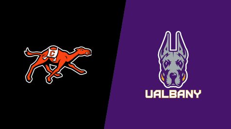 How to Watch: 2026 Campbell vs UAlbany | Football