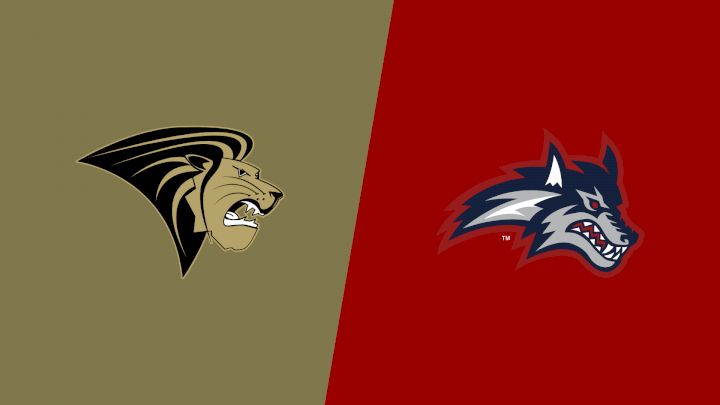 2026 Lindenwood vs Stony Brook