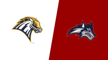 Replay: New Haven vs Stony Brook | Aug 16 @ 1 PM