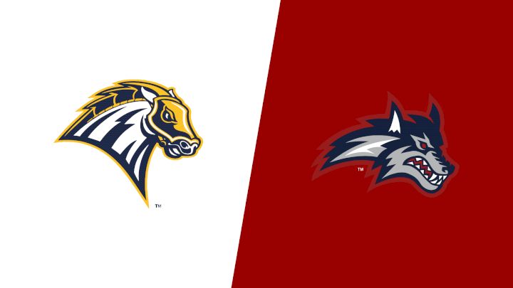 2026 New Haven vs Stony Brook - Women's