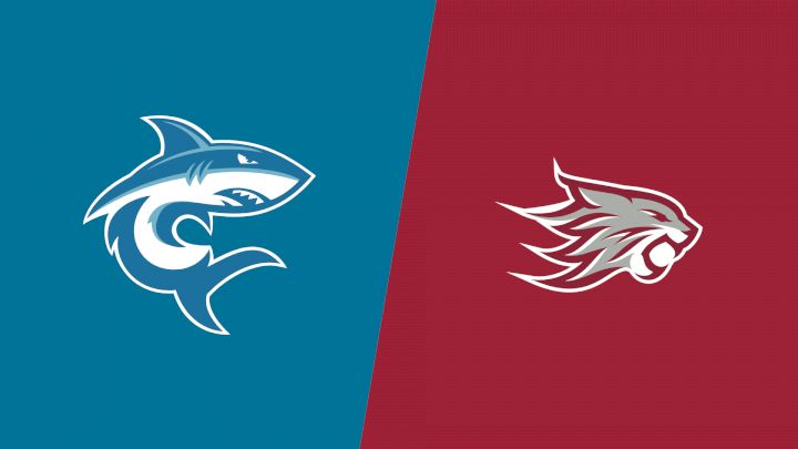 2026 Hawaii Pacific vs Chico State - Men's