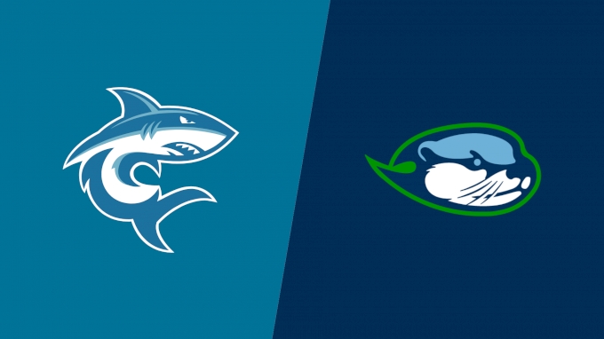 Team Matchup Image Service.