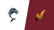 How to Watch: 2026 College of Staten Island vs Dist. of Columbia - Men's | Men's Soccer