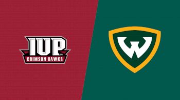 Replay: Indiana (PA) vs Wayne State (MI) | Aug 29 @ 5 PM