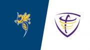 2026 LeTourneau vs Concordia (TX) - Women's