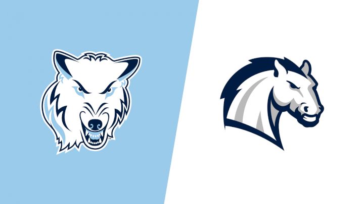 2026 Northwood University vs Hillsdale - Women's