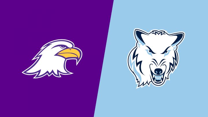 2026 Ashland vs Northwood University - Women's