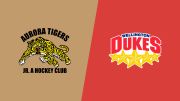 2026 Aurora Tigers vs Wellington Dukes