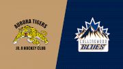 2026 Aurora Tigers vs Collingwood Blues
