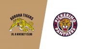 2026 Aurora Tigers vs Pickering Panthers