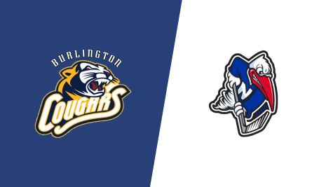 Replay: Home - 2026 Cougars vs Newmarket | Oct 6 @ 8 PM