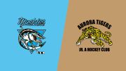 2026 Lindsay Muskies vs Aurora Tigers