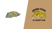 2026 Cobourg Cougars vs Aurora Tigers