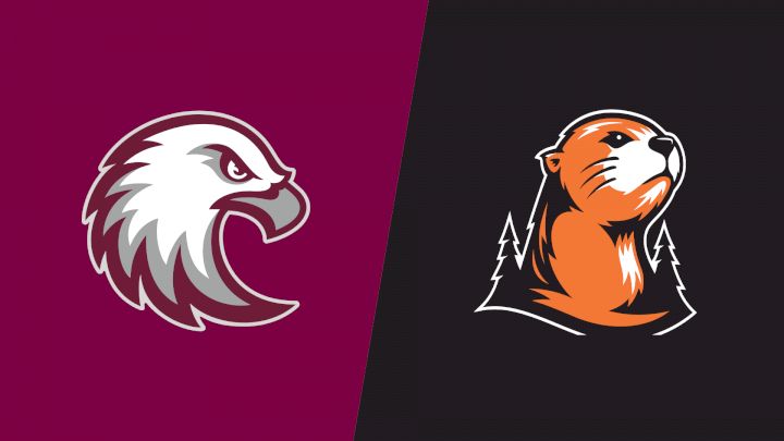 2026 Augsburg vs Lewis & Clark - Women's