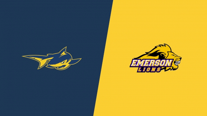 Team Matchup Image Service.