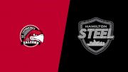 2026 St. Catharines Falcons vs Hamilton Steel