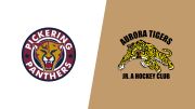 2026 Pickering Panthers vs Aurora Tigers