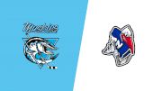 How to Watch: 2026 Lindsay Muskies vs Newmarket Hurricanes | Hockey