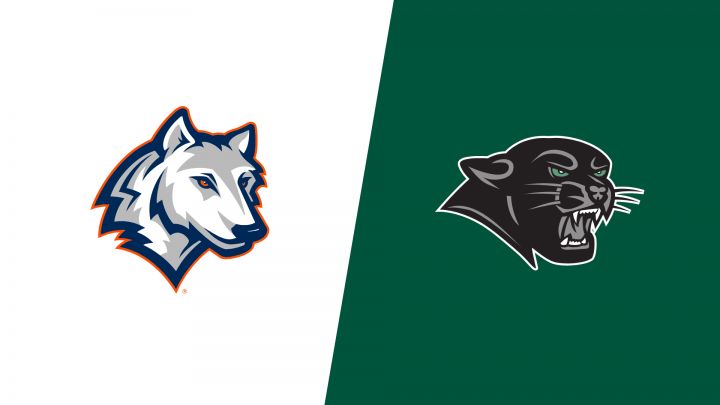 2026 WestConn vs Plymouth State - Women's