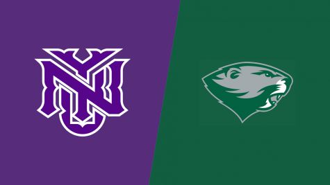 2026 NYU vs Babson College - Women's